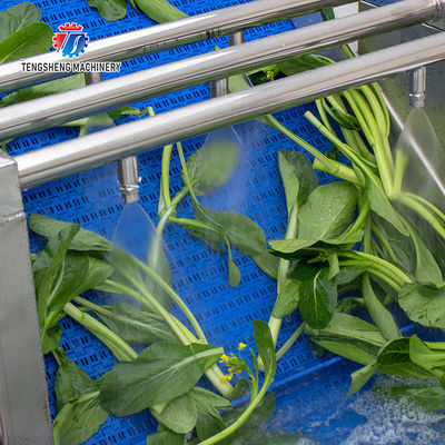Watercress Bubble Generating Vegetable Fruit Cleaning Machine , Apricot Commercial Vegetable Washer