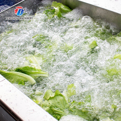 Watercress Bubble Generating Vegetable Fruit Cleaning Machine , Apricot Commercial Vegetable Washer