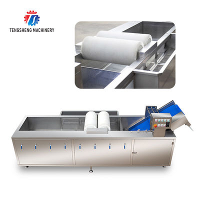 250KG The manufacturer provides a reversible air dryer for fruit ozone disinfection and fruit washing machine