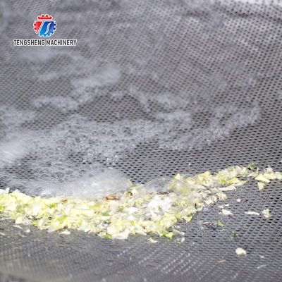 1000KG/H Double layer spray leaf vegetable cleaning machine large bubble eddy current vegetable cleaning machine