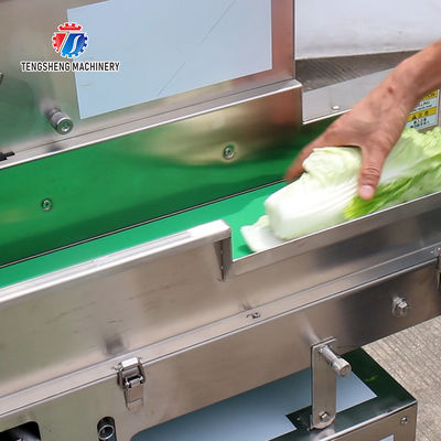 180KG Vegetable and melon slicing and slicing machine One machine multi-purpose automatic chopping machine