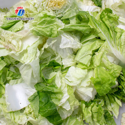 180KG Automatic large vegetable leaf cutting machine kitchen fruit and vegetable processing and cutting equipment