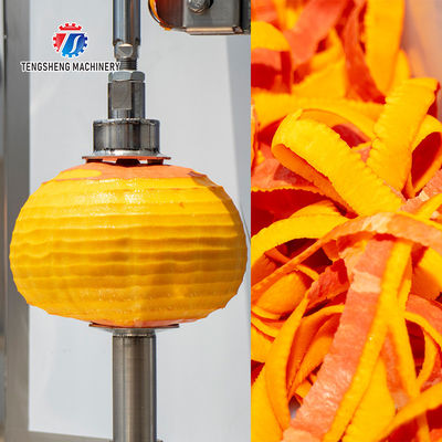 1.0KW 120KG Peeler jackfruit papaya pumpkin wax gourd peeler all kinds of fruit peeling machine