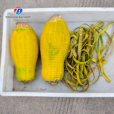 1.0KW 90KG Small automatic pumpkin papaya pineapple cantaloupe peeler Commercial fruit peeler equipment