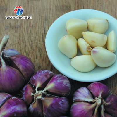 90KG 2.2KW High yield garlic peeling machine commercial automatic scallion peeling machine