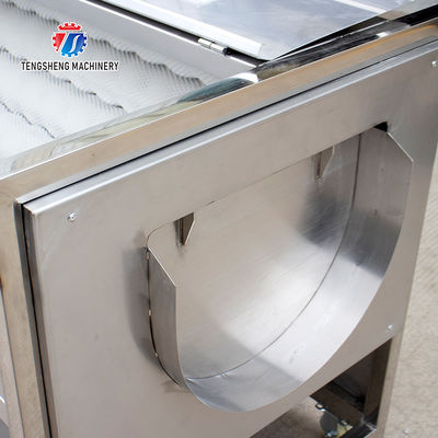 380KG Seal cover lotus root hair roller cleaning machine potato peeling machine stainless steel cleaning equipment