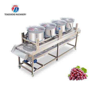 350KG Stainless steel fruit and vegetable processing air drying machine group production line