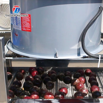 350KG Stainless steel automatic step air drying machine vegetable air drying machine drain air drying machine