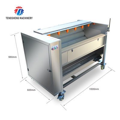 Potato cleaning peeling machine taro peeling machine multi-functional horseshoe hair roller cleaning machine