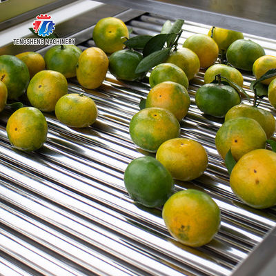 350KG 380V Vegetable air drying line fruit parallel air drying machine packaging air drying