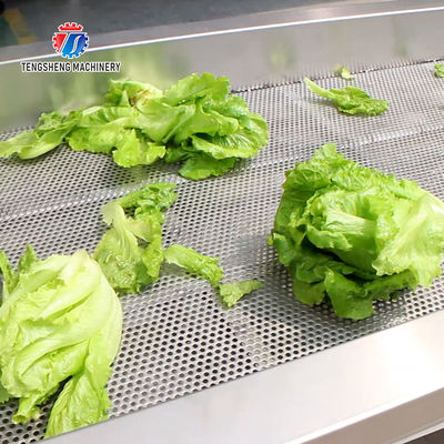 Stainless Steel Vibrating Screen Fruit And Vegetable Drain Machine