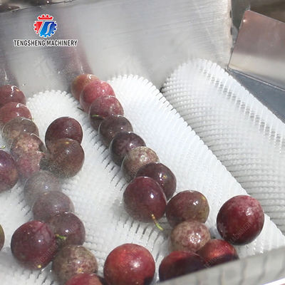 Revolutionize Your Production Process with Our Fruit And Vegetable Processing Line