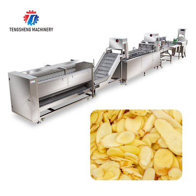 Brush bubble cleaning, drying, selection and cutting production line Fruit Vegetable FOOD processing production Machine