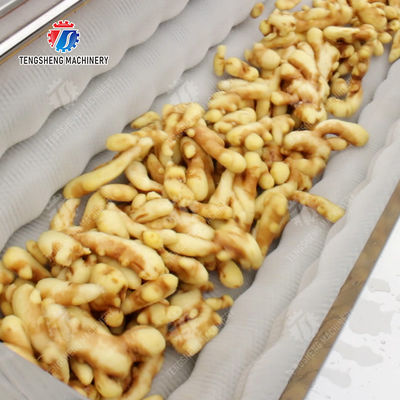 Brush bubble cleaning, drying, selection and cutting production line Fruit Vegetable FOOD processing production Machine