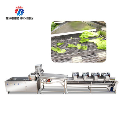 1000KG/H Fruit And Vegetable Processing Line Bubble Washing And Vibrating Drying
