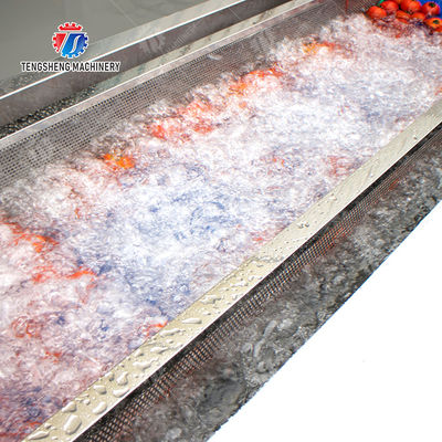 SS 380V Industrial Vegetable And Fruit Washing Machine