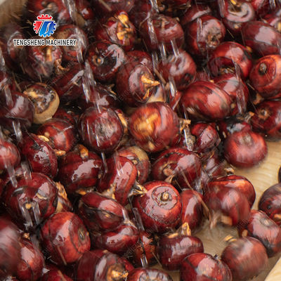 Ginger Potato Carrot Taro Sweet potato Yam Saiko persimmon papaya horseshoe Sealed Cover Type Peeling Machine Wash Washer Washing Cleaning