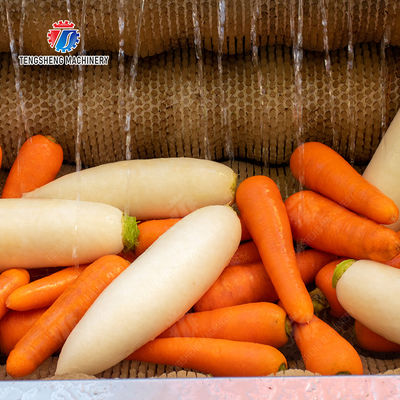 Ginger Potato Carrot Taro Sweet potato Yam Saiko persimmon papaya horseshoe Sealed Cover Type Peeling Machine Wash Washer Washing Cleaning