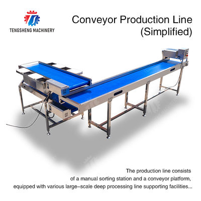 Conveyor Production Line Simplified Orange Potato  Onions Ginger Potato Carrot Taro Sweet potato Yam Saiko persimmon papaya horseshoe processing production Grading Transporting Machine