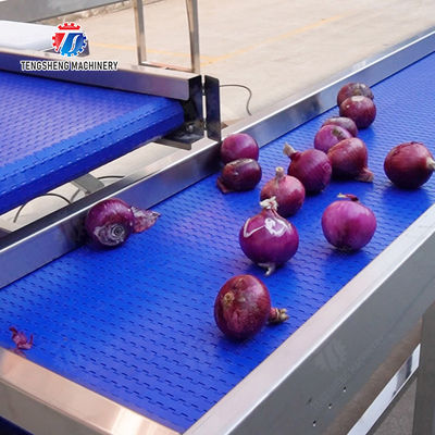 Conveyor Production Line Simplified Orange Potato  Onions Ginger Potato Carrot Taro Sweet potato Yam Saiko persimmon papaya horseshoe processing production Grading Transporting Machine