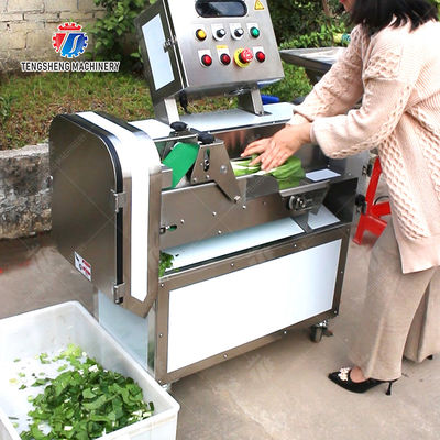 Double head vegetable cutting machine Onions Saiko persimmon papaya Potato Carrot okra Greens Lettuce Cao Xin Baby Cabbage Chinese Cabbage Cabbage Cutting