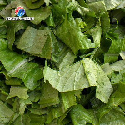 chili onion Greens Lettuce Cao Xin Baby Cabbage Chinese Cabbage Cabbage Large scale vegetable cutter