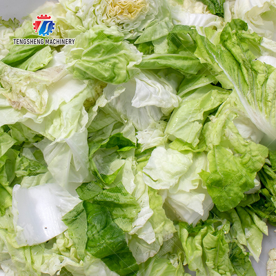 Extra-large widened leafy vegetable cutter Leafy vegetables Cabbage varieties papaya chieh-qua wax gourd Ginger Potato Carrot radish Greens Lettuce Cao Xin Baby Cabbage Chinese Cabbage Cabbage
