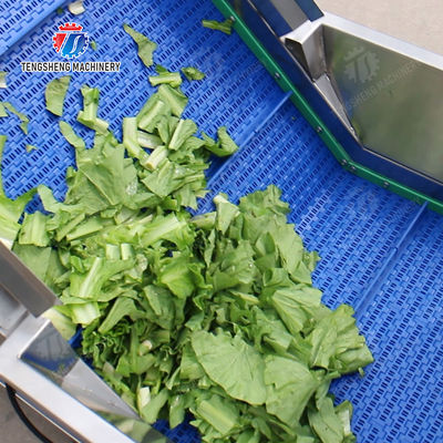 Washing Hoisting machine Fruit Orange Vegetable Apple pineapple Ginger Potato Carrot Sweet potato Yam cucumber chili onion okra Lettuce Cao Xin Baby Cabbage Chinese Cabbage processing production