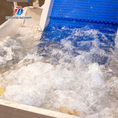 Pre-foaming elevator processing production Destoning Supplying Inspecting Grading Fruit Orange Vegetable Onions horseshoe Ginger Potato Carrot radish Lettuce Baby Cabbage Chinese Cabbage Cabbage