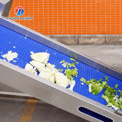 Fruit Orange Vegetable Onions horseshoe Ginger Potato Carrot radish Lettuce Baby Cabbage Chinese Cabbage Cabbage Hoisting machine Washing Dryer processing production line