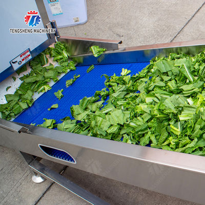Fruit Orange Vegetable Onions horseshoe Ginger Potato Carrot radish Lettuce Baby Cabbage Chinese Cabbage Cabbage Hoisting machine Washing Dryer processing production line