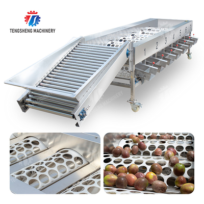 Pemrosesan Produksi Inspeksi Penilaian Buah Sayuran Bawang Saiko kesemek Apel Kentang jeruk keprok markisa alpukat ceri Mangga pir pisang manggis kiwi Mesin Sortasi Buah