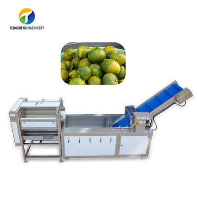 Pemilahan Debu Lini Produksi Buah Mengontrol Gelembung Pembersihan Sayuran Nanas