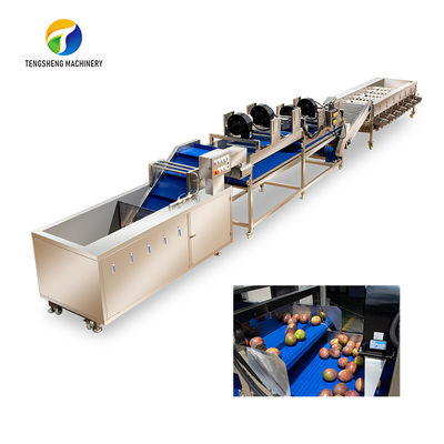 Tengsheng Penyemprotan Tegangan Tinggi Lini Pengolahan Buah Dan Sayuran Degradasi residu industri