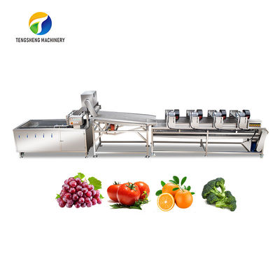 4.5KW Peralatan Pengeringan Getaran Garis Pengolahan Buah Dan Sayuran