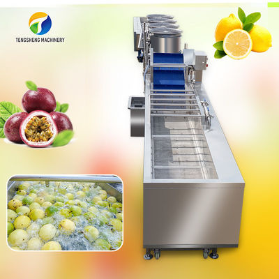 Jalur Produksi Pembersihan Gelembung Buah Markisa dan Pengeringan