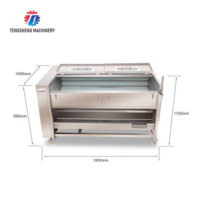 380KG  Carrot and taro fur brush cleaner Oyster rollers cleaning equipment water hooves cleaning