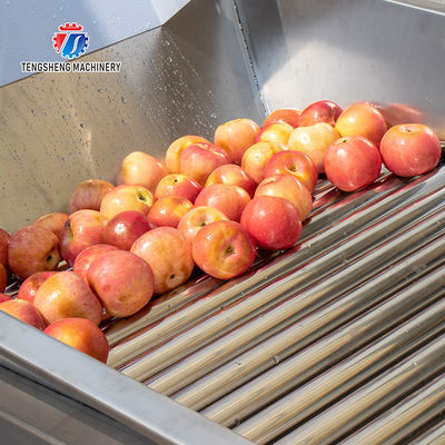 280KG Fruit sorting size picking machine stainless steel material specifications can be determined for sorting potatoes