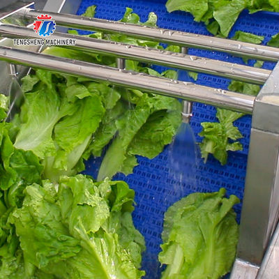 2.6KW Impurity Deposits Fruit And Vegetable Washer Machine Tomato Kiwifruit
