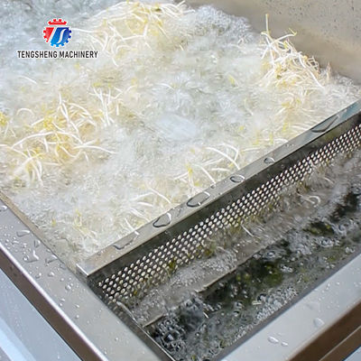 85KG Small fruit and vegetable processing equipment stainless steel single cylinder cleaning machine