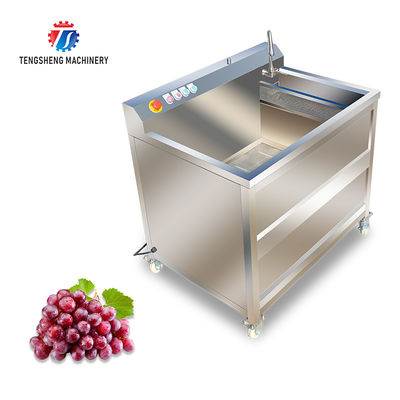 85KG Small fruit and vegetable processing equipment stainless steel single cylinder cleaning machine