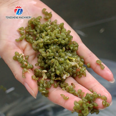 85KG Small fruit and vegetable processing equipment stainless steel single cylinder cleaning machine