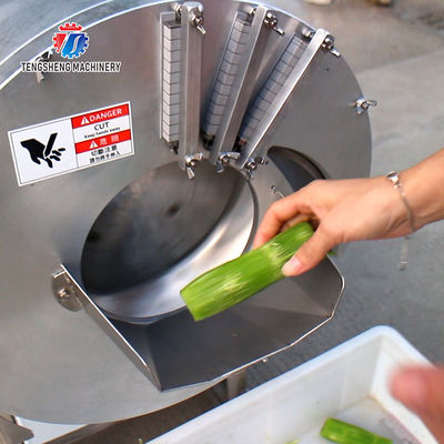 Cafeteria 0.75KW Vegetable Processing Machine Ginger Slicing Equipment