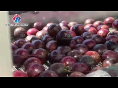Fruit And Vegetable Brush Bubble Cleaning Drying Production Line
