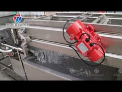 1800KG/H Fruit Vegetable Washing Line With Swirling Bubbles