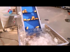 Pre-Foaming Lifting Hair Roller Cleaning Production Line