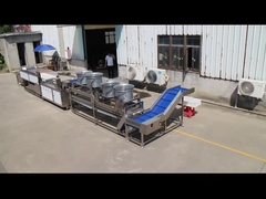 Tingkatkan Lini Pengolahan Buah dan Sayuran Anda ke Tingkat Berikutnya dengan Mesin Sikat Paralel TS-M100